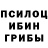 Псилоцибиновые грибы GOLDEN TEACHER Caroline W