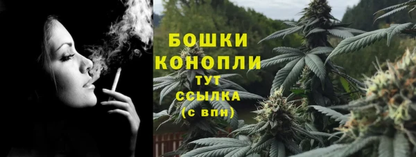 прущие грибы Балахна