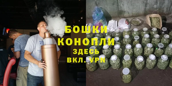 шишки Балабаново
