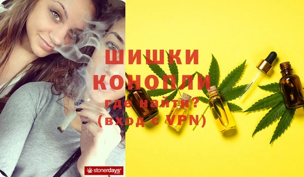 прущие грибы Балахна