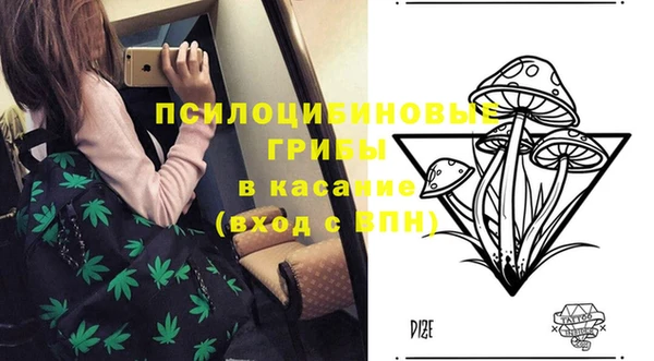 мескалин Белокуриха
