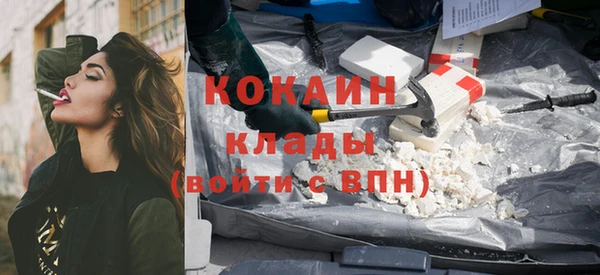 прущие грибы Балахна